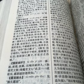 中国成语大辞典