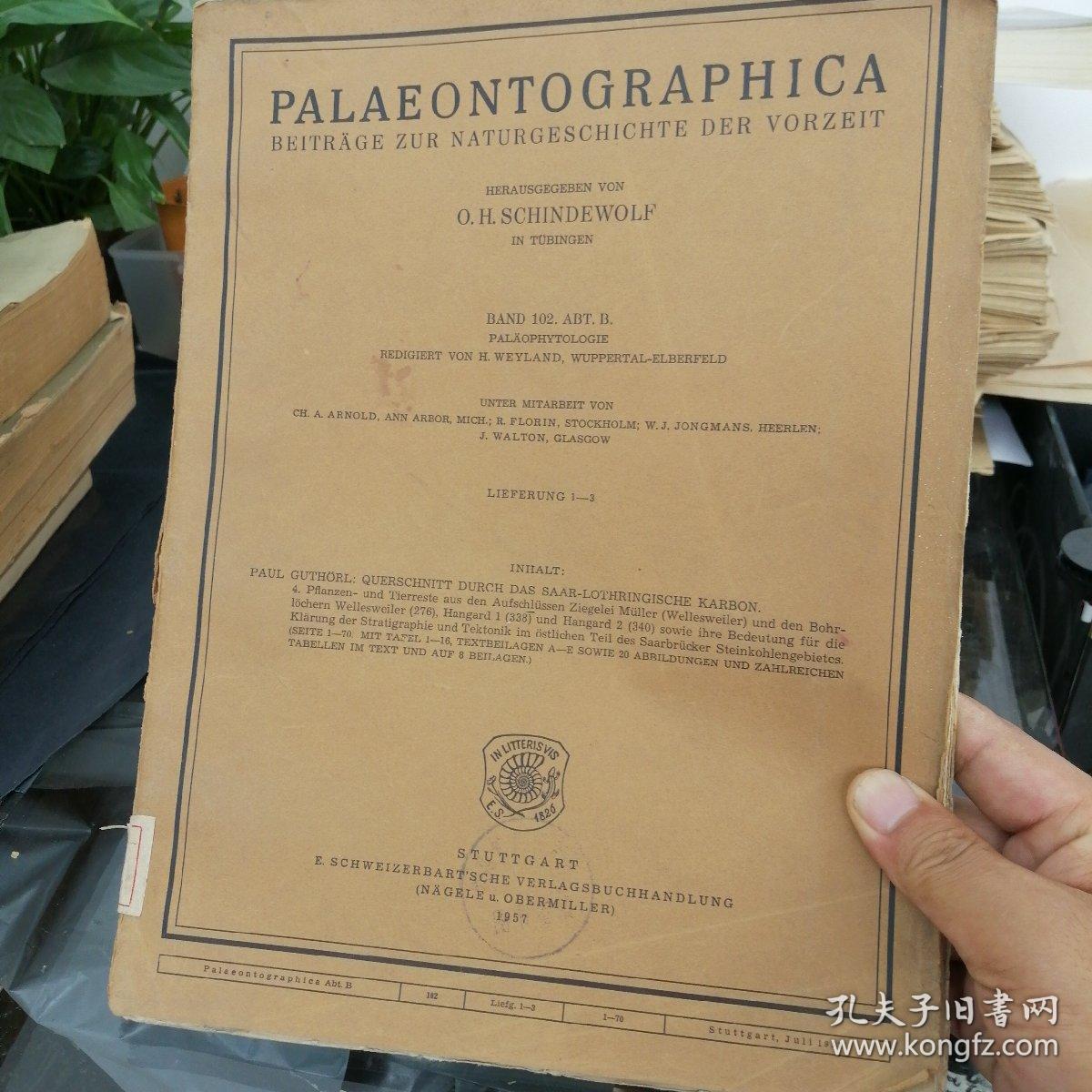 PALAEONTOGRAPHICA