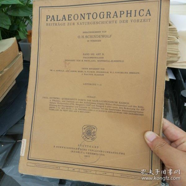 PALAEONTOGRAPHICA