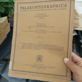 PALAEONTOGRAPHICA