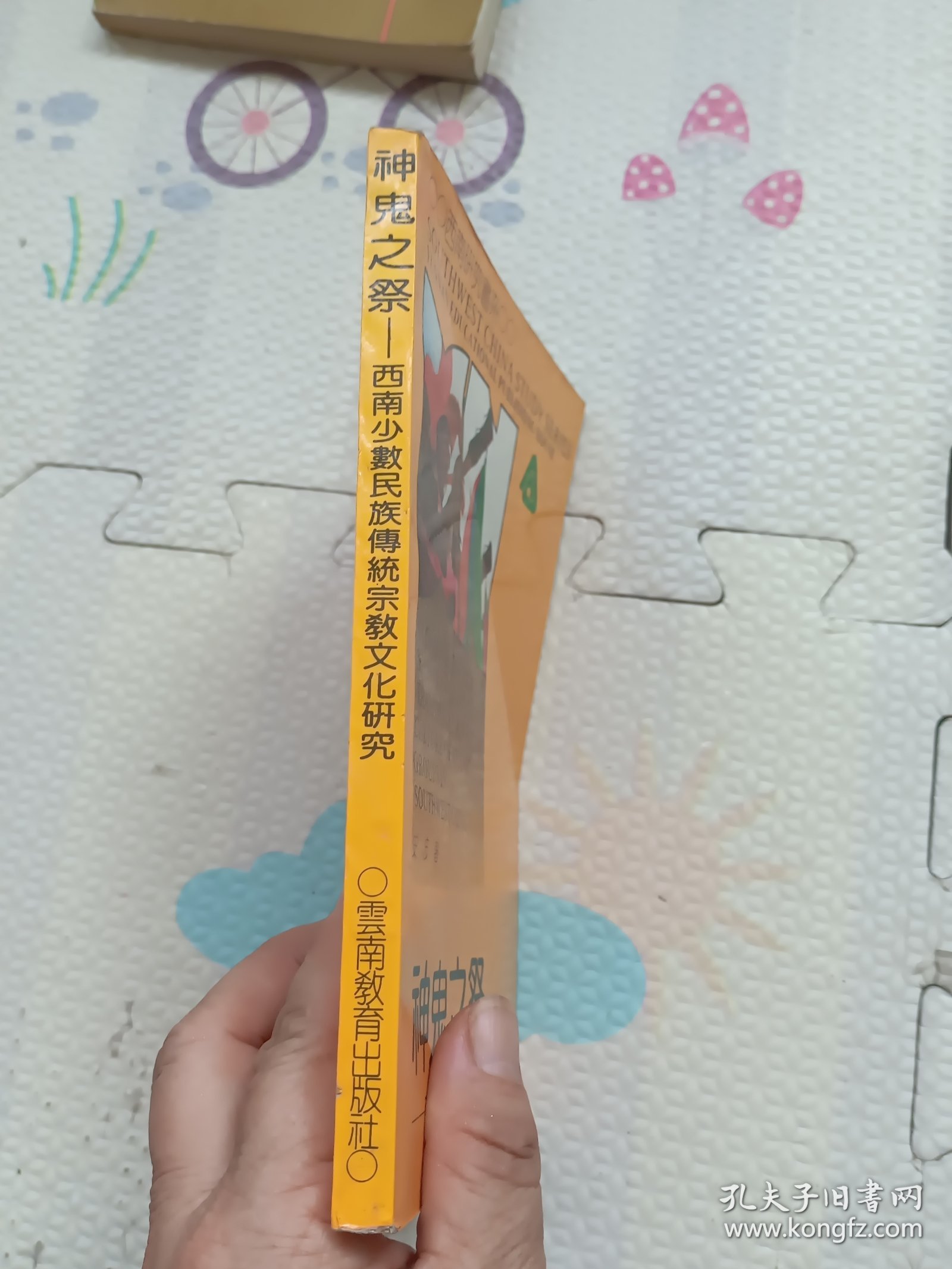 神鬼之祭~西南少数民族傅统宗教文化研究