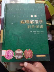 病理解剖学彩色图谱——医学教学图谱系列