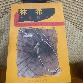 林希小说精选