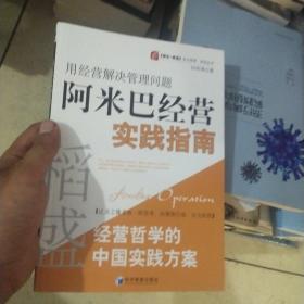 稻盛和夫经营哲学中国实践方案·用经营把管理做简单：阿米巴经营实践指南