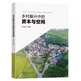 乡村振兴中的资本与空间王海卉等著东南大学出版社