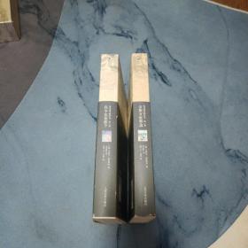 追寻逝去的时光 第一卷 第二卷 合售