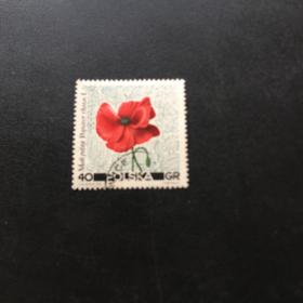 波兰邮票花卉