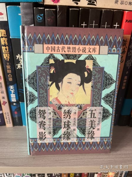 中国古代禁毁言情小说：16开本