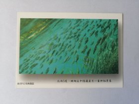 中国海洋大学（郑义）摄影展明信片