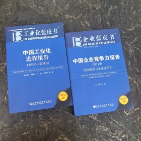 工业化蓝皮书 2012版【共2本合售】中国工业化进程报告（1995-2010）+经济波动与企业竞争力