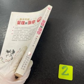 股市天经：量柱擒涨停