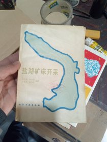 盐湖矿床开采
