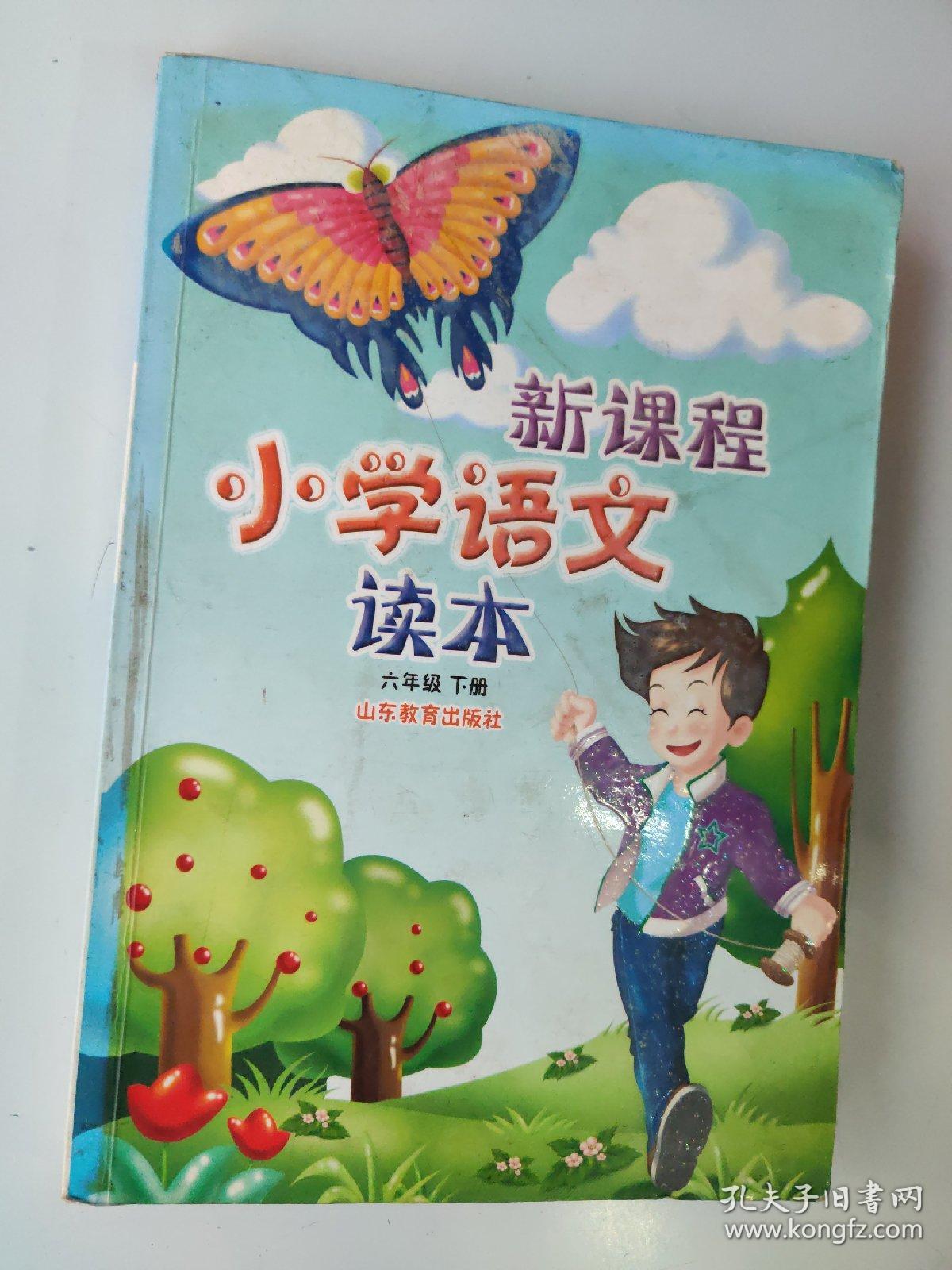 新课程  小学语文读本（六年级下册）