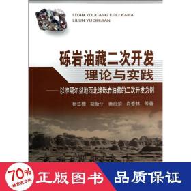 砾岩油藏二次开发理论与实践 能源科学 杨生榛//胡新//秦启荣//肖春林