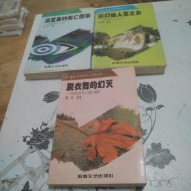 迷宫里的死亡图案：外国后现代主义小说（一，二）外国后现代主义散文随笔，脱衣舞的幻灭