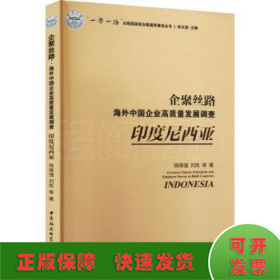 企聚丝路：海外中国企业高质量发展调查（印度尼西亚）