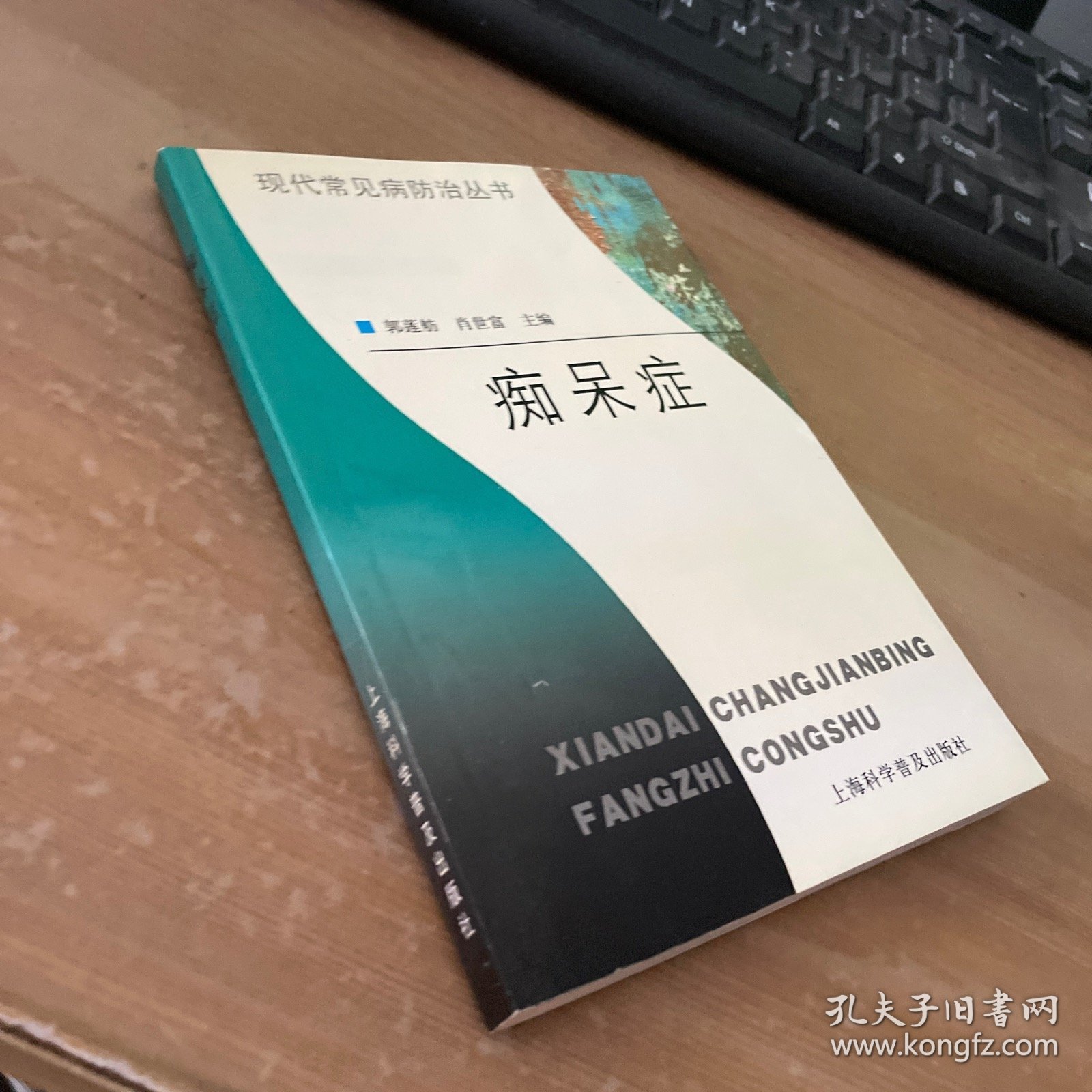 痴呆症——现代常见病防治丛书