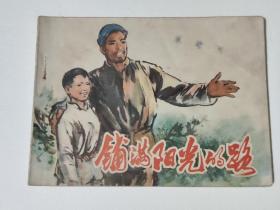 铺满阳光的路