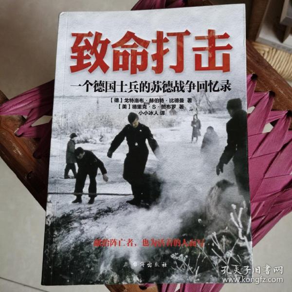 致命打击：一个德国士兵的苏德战争回忆录