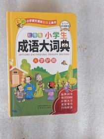 彩图版小学生成语大词典