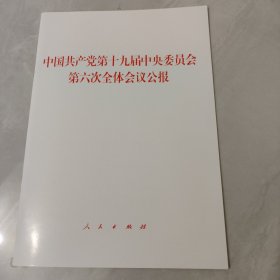 中国共产党第十九届中央委员会第六次全体会议公报（2021年六中全会公报）