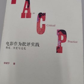 电影作为批评实践：视觉、历史与文化