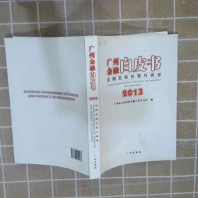 2013广州金融白皮书