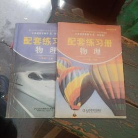 老课本——物理配套练习册（八年级上、下册）