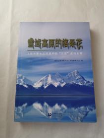 雪域高原的格桑花——上海市第七批援藏干部“三亲”史料专辑