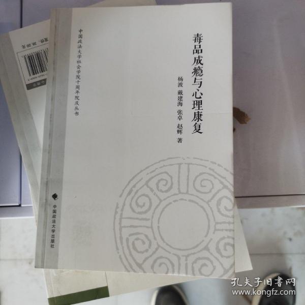 中国政法大学社会学院十周年院庆丛书：毒品成瘾与心理康复