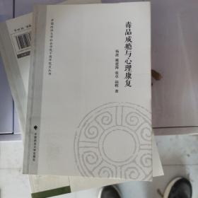 中国政法大学社会学院十周年院庆丛书：毒品成瘾与心理康复