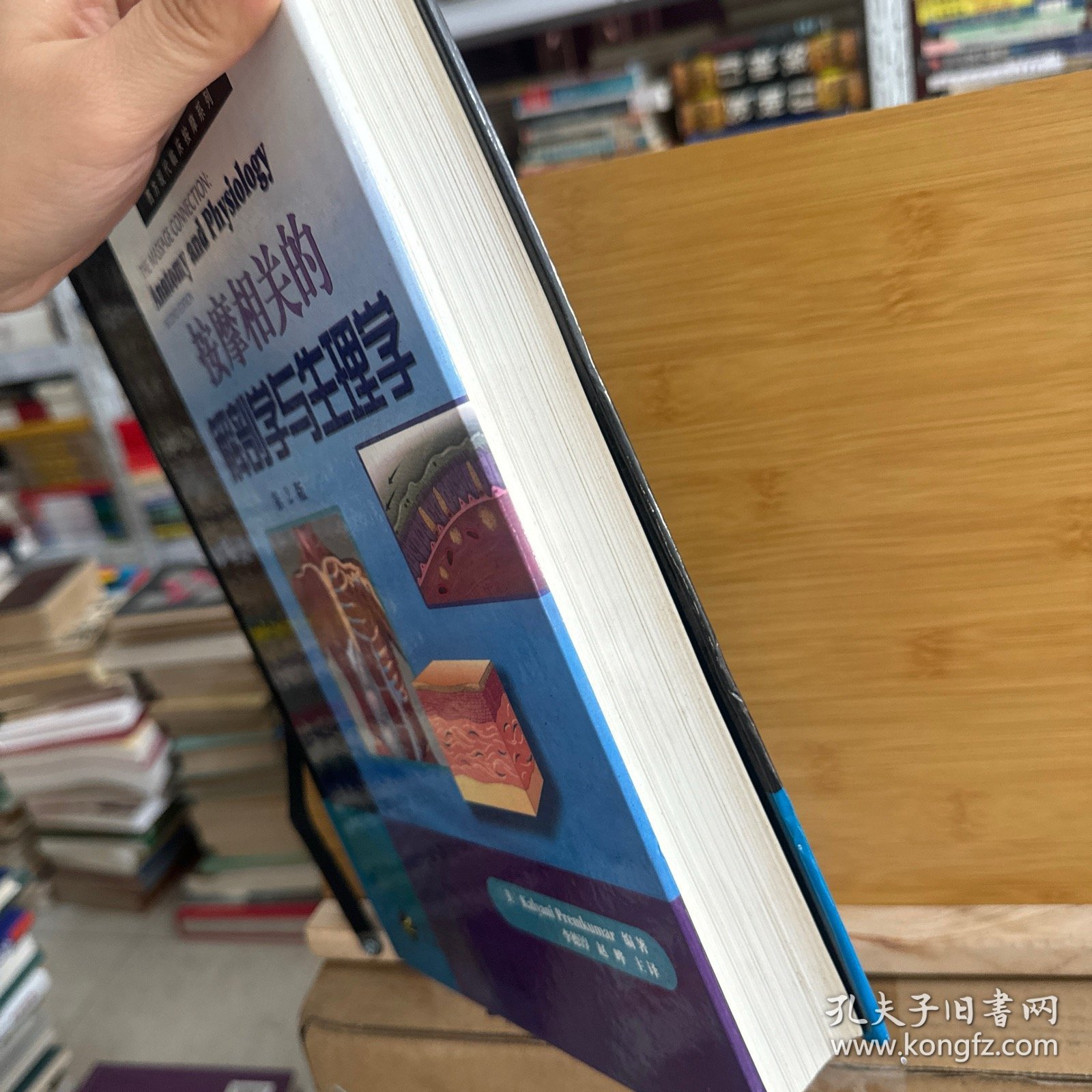 按摩相关的解剖学与生理学