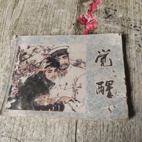 连环画《觉醒》