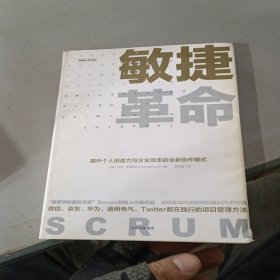 敏捷革命:提升个人创造力与企业效率的全新协作模式