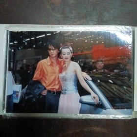 车展车模（照片）