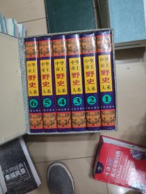 中华帝王野史大系（全六册