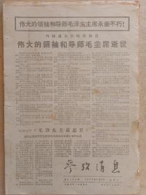 参考消息1976年9月10至30日，共21份。