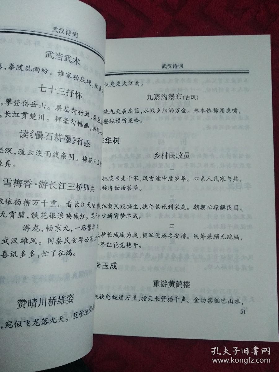 武汉诗词 七