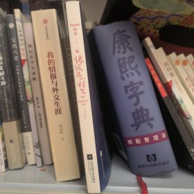 像候鸟一样飞 货号M