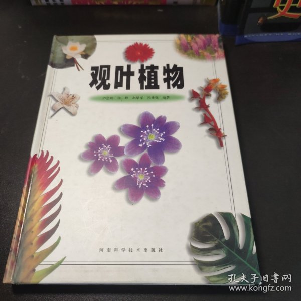 观叶植物（彩图版）