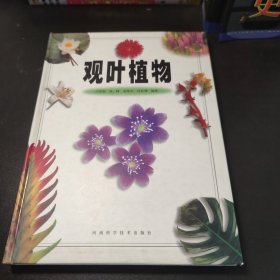 观叶植物（彩图版）