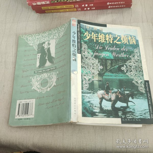 少年维特之烦恼