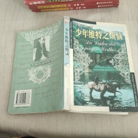 少年维特之烦恼