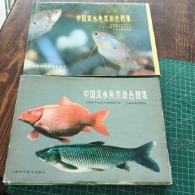 中国淡水鱼类原色图集（第一 二集）