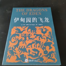 伊甸园的飞龙
