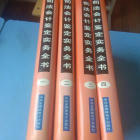 司法会计鉴定实务全书 四册全