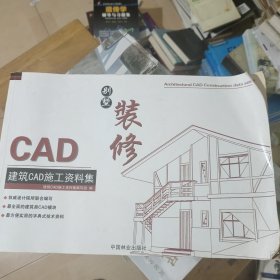 建筑CAD施工资料集：别墅装修(无勾画自然旧略微泛黄，无光盘)