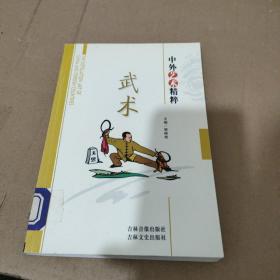 中外艺术精粹 武术