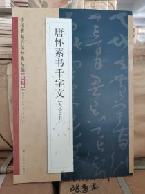 正版库存 中国碑帖百部经典丛编·草书卷：唐怀素书千字文（大小草书）