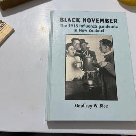 Black November